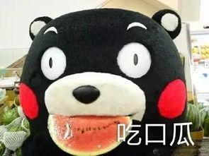 免费吃瓜歌曲在线听,跟着免费吃瓜歌曲在线听瓜不停 第1张 免费吃瓜歌曲在线听,跟着免费吃瓜歌曲在线听瓜不停 第1张